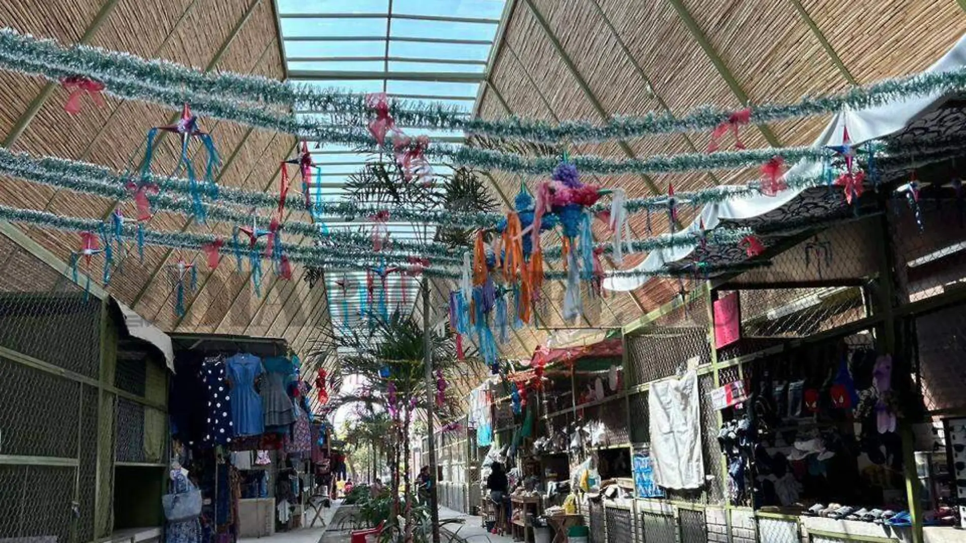 pasillo del mercado Guadalupe